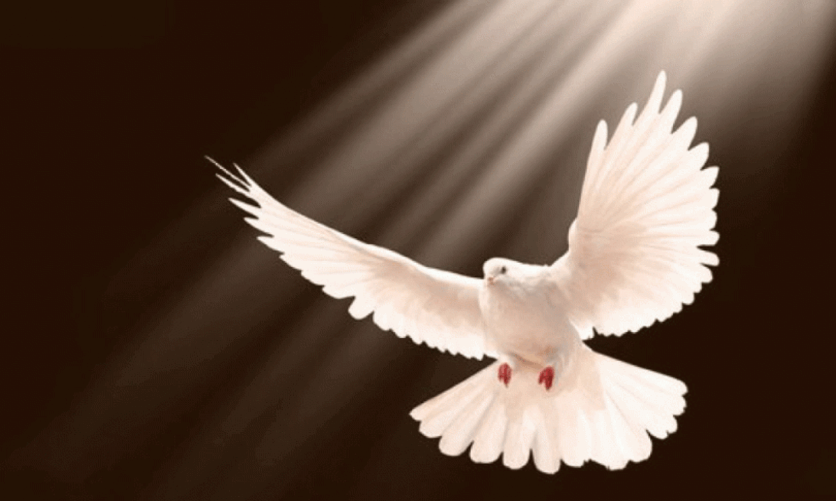 Holy-spirit-810x486.gif
