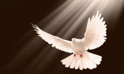 Holy-spirit-810x486.gif