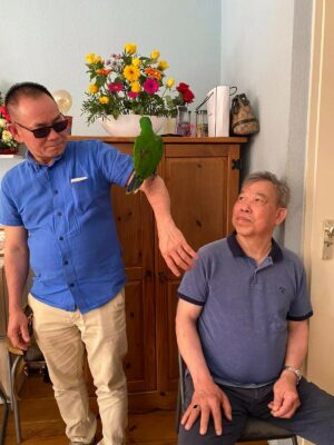 IMGb3e054b8dcf0f727c7c59a9ea0c48adfV